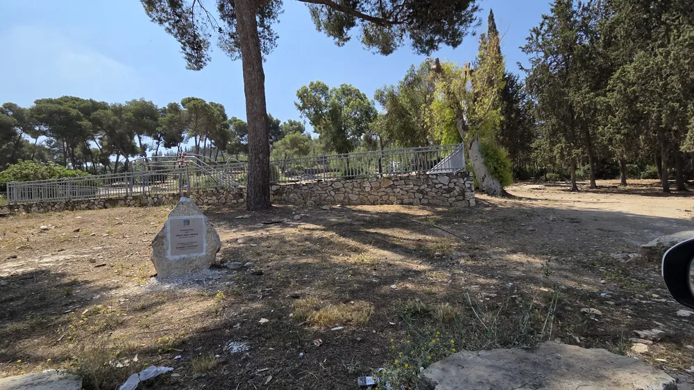 אבן הנצחה וחורשת עצים לצד שביל - הטיול השנתי בכנרת