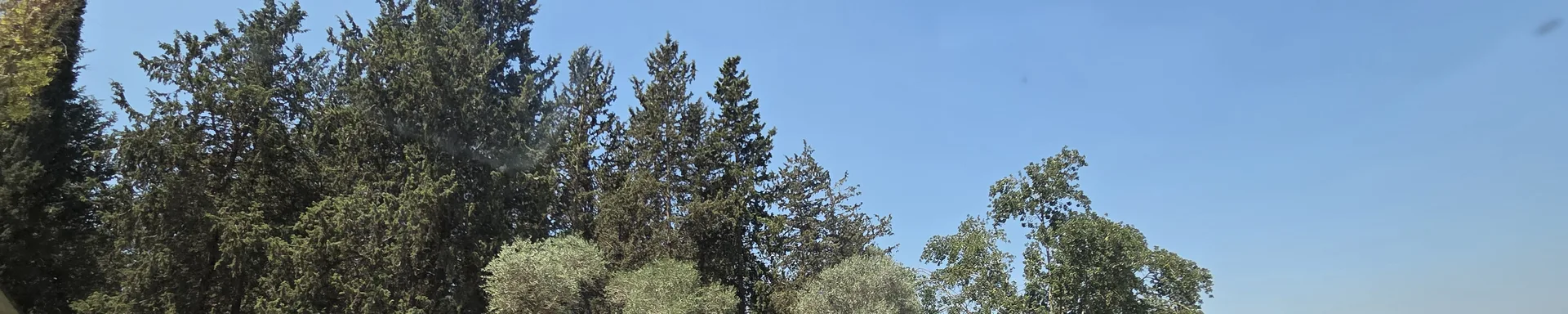 רקע פתיחה - הטיול השנתי לכנרת