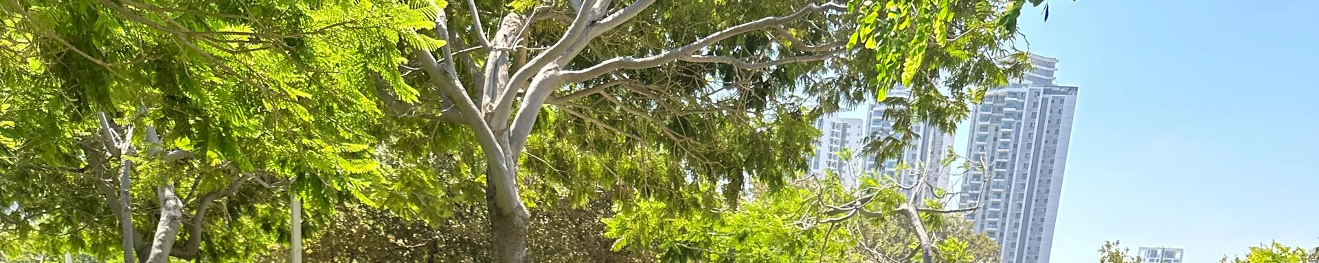 רקע פתיחה - בוקר גיבוש לתלמידי מסלול פסגות, נוף פארק