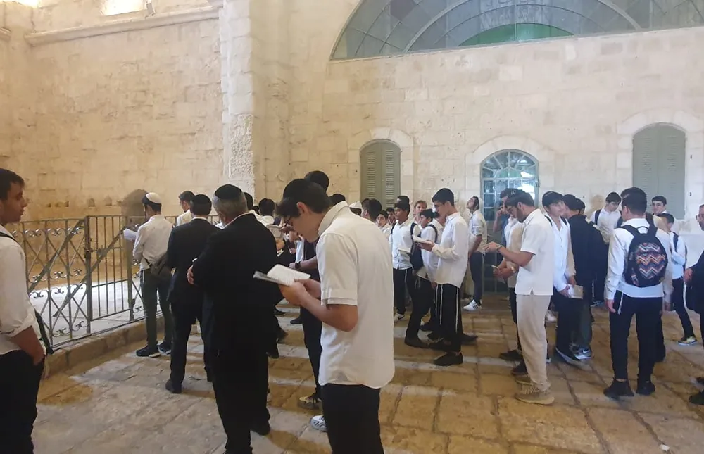 תלמידים קוראים מדפים באולם אבן - המסע של אלול