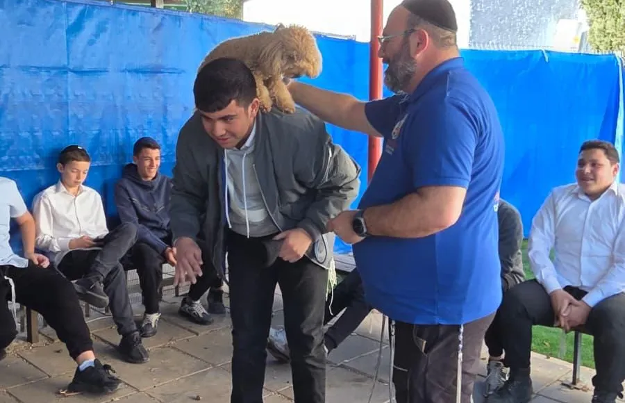 - חברים על ארבע