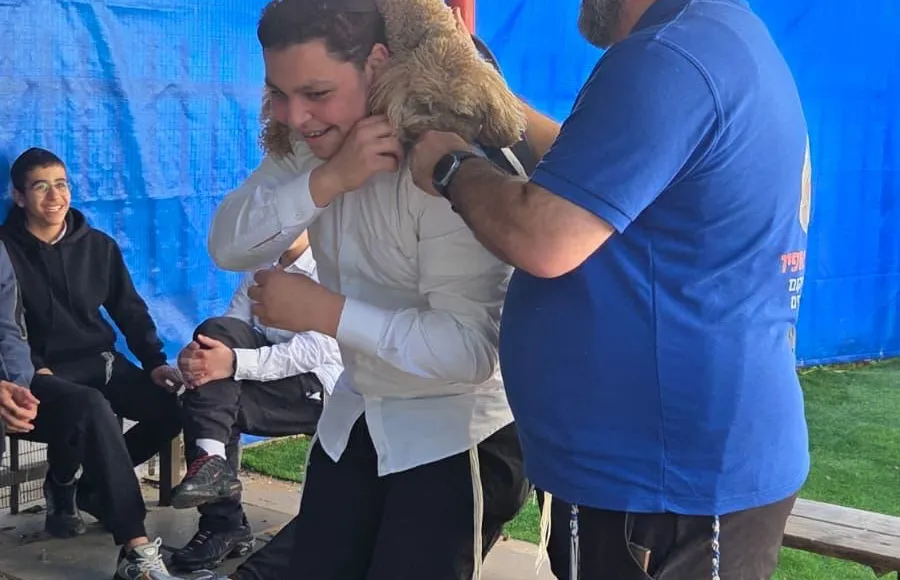 - חברים על ארבע