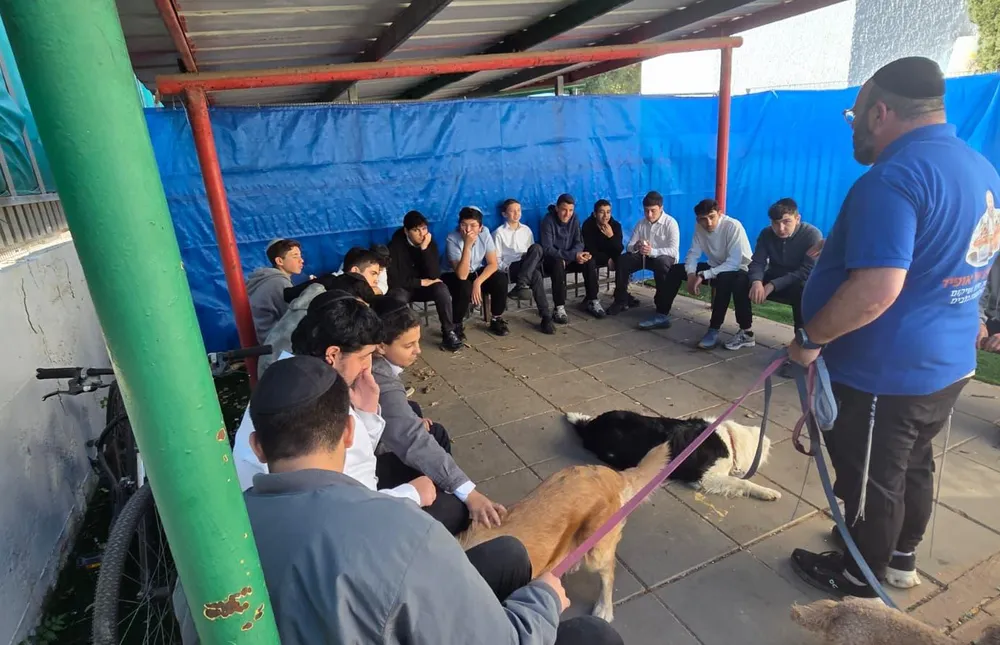 - חברים על ארבע